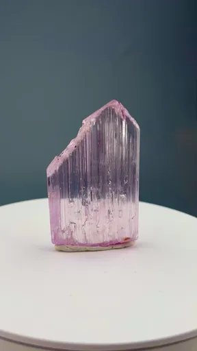 specimen video