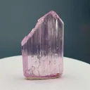 specimen video