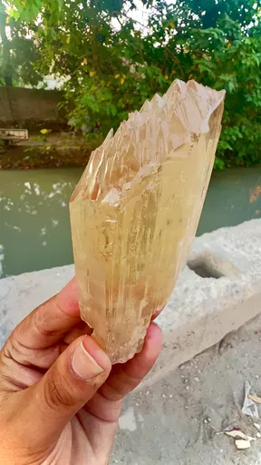 specimen video