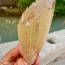 specimen video