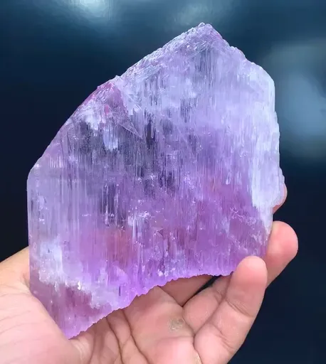specimen video