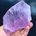 specimen video