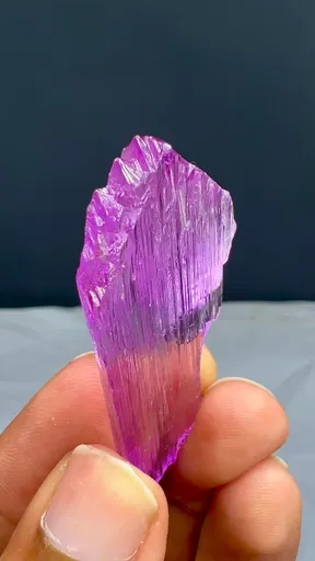 specimen video