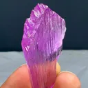 specimen video
