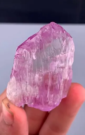 specimen video