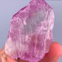 specimen video