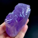 specimen video
