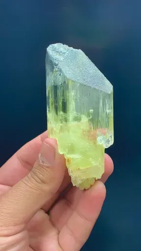 specimen video