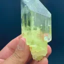 specimen video
