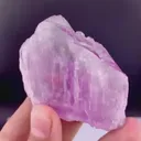 specimen video