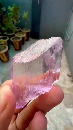 specimen video