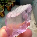 specimen video