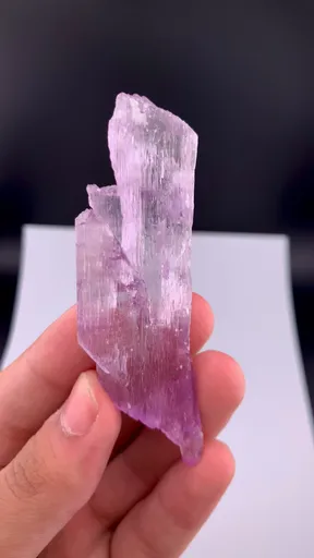 specimen video