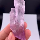 specimen video