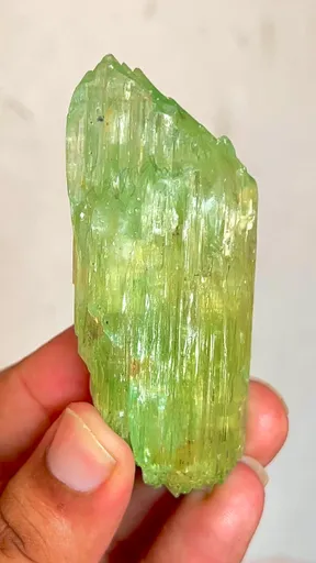 specimen video
