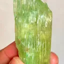 specimen video