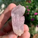 Kunzite from Afghanistan - image 2