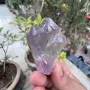 Kunzite from Afghanistan - image 6