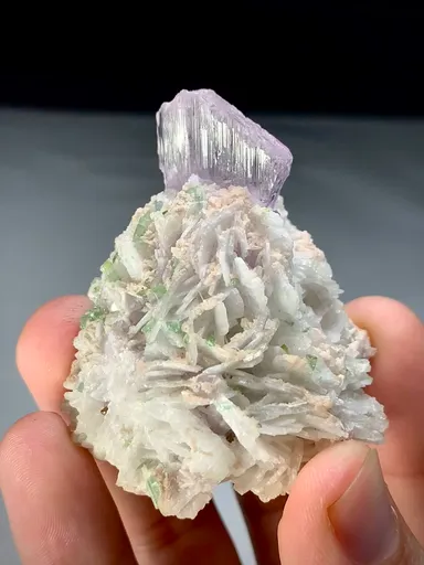 specimen video