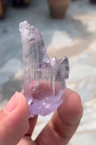 specimen video