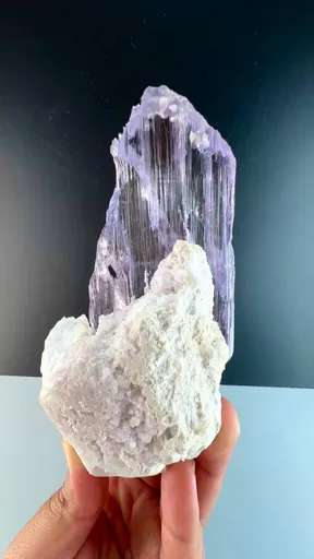 specimen video