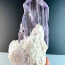 specimen video