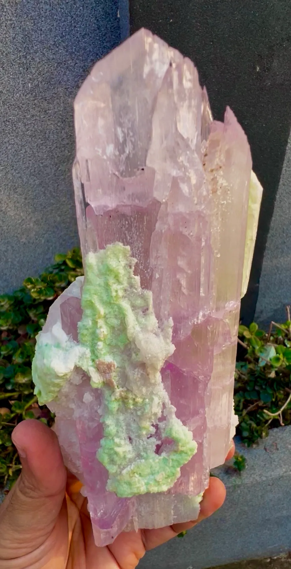 Kunzite from Afghanistan, Laghman - image 4