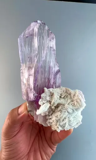 specimen video