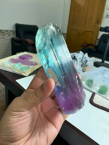 specimen video