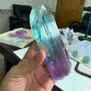 specimen video