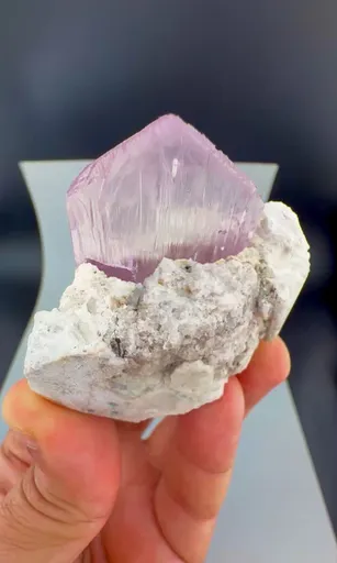 specimen video
