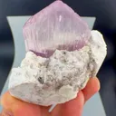 specimen video