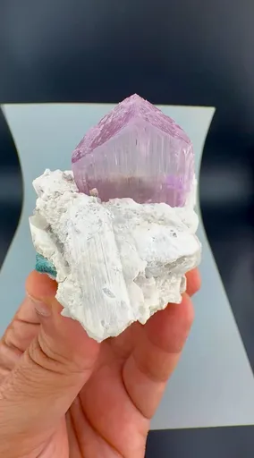specimen video
