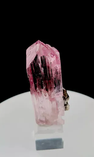 specimen video