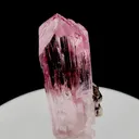 specimen video
