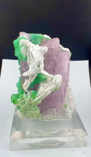 specimen video