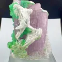 specimen video