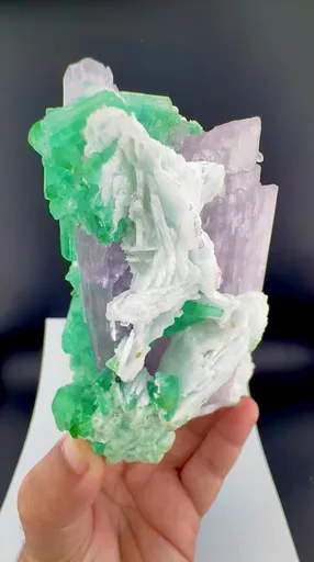 specimen video