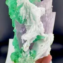 specimen video