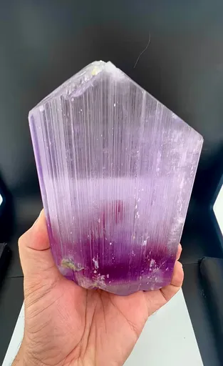 specimen video