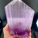 specimen video