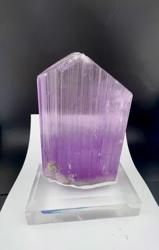 specimen video
