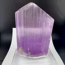 specimen video