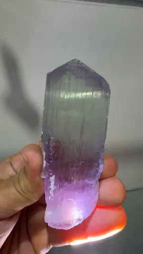 specimen video