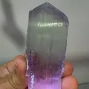 specimen video