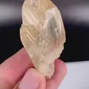 specimen video