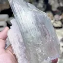 specimen video