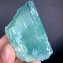 specimen video