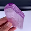 specimen video