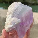 specimen video